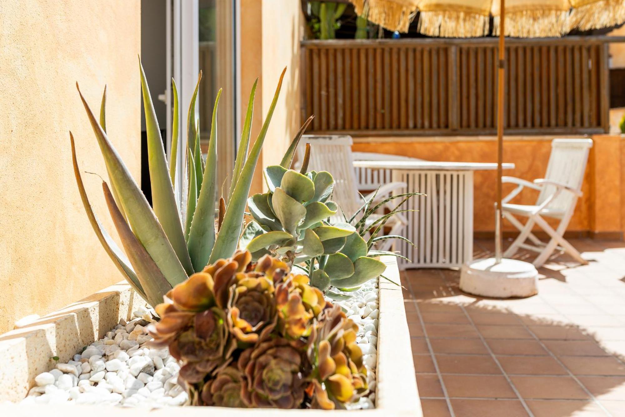 Palm Beach House Corralejo Dış mekan fotoğraf